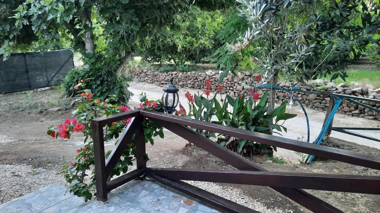 Teo Hotel&Pansion Çıralı Dış mekan fotoğraf