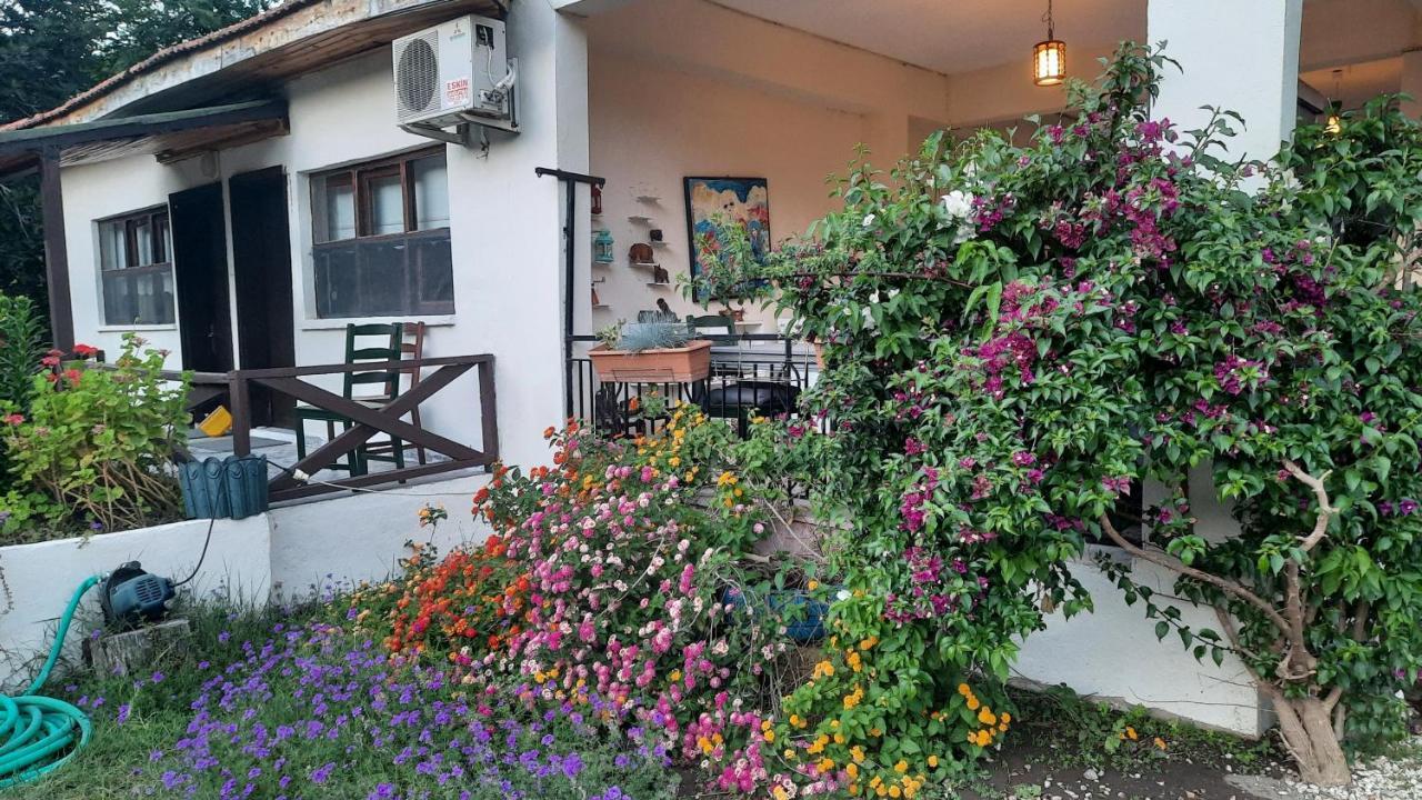 Teo Hotel&Pansion Çıralı Dış mekan fotoğraf