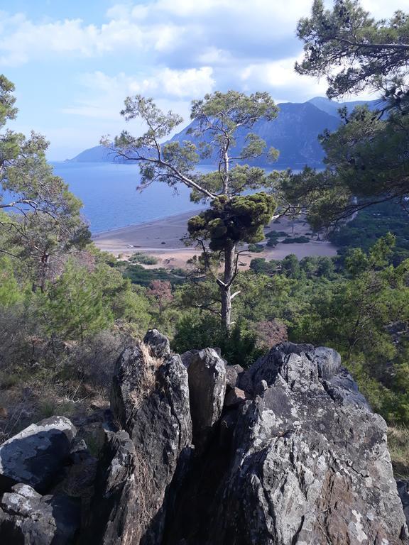 Teo Hotel&Pansion Çıralı Dış mekan fotoğraf